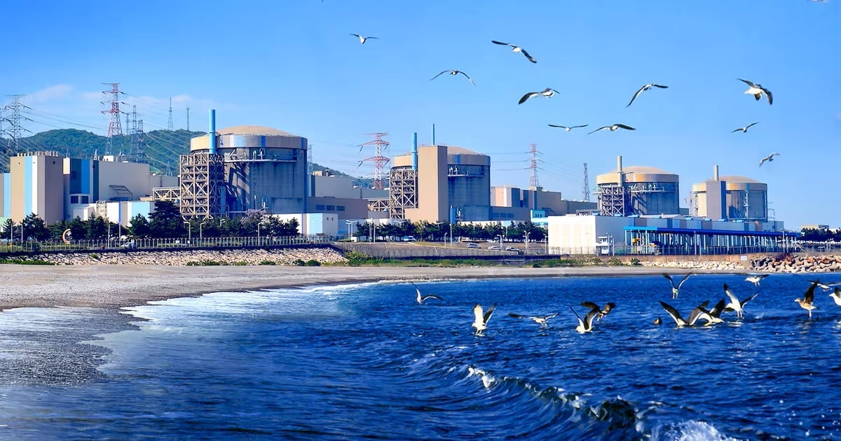 Multi unit nuclear power plant site